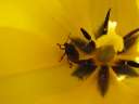 Best of - Mai und April 2006