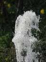 4711 @HH Planten&Blomen