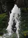 4723 @HH Planten&Blomen