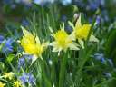 4478_@HH Planten&Blomen