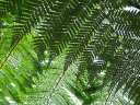 4591_@HH Planten&Blomen