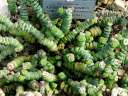4645 @HH Planten&Blomen edit