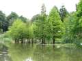 15292_@aboretum_ellerhoop