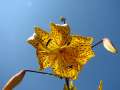 13980_@Botanischer_Garten_Kiel