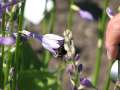 13988_@Botanischer_Garten_Kiel