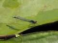 14006_@Botanischer_Garten_Kiel_cut